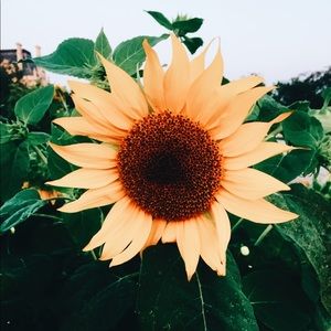 Meet your Posher, Ann